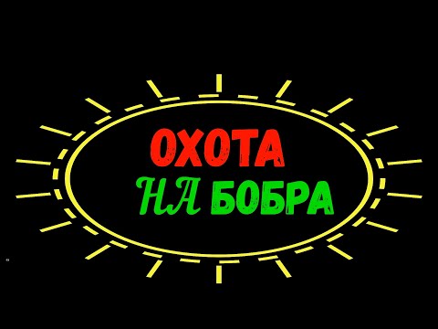 Видео: ОХОТА НА БОБРА С МЕЛКАШКОЙ CZ452-2E ZKM - СЕЗОН  ОХОТЫ МАРТ  23 2024
