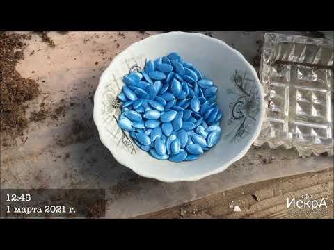 Видео: Подвой Рутпауэр.  Пеллетная печь