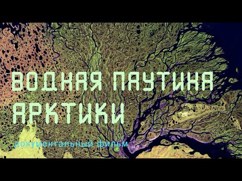 Видео: Арктика. Якутия. Дельта реки Лены. Ледоход. Тундра. Птичий рай. Nature of Russia.