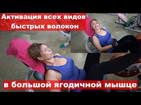 Видео: Активация двух типов быстрых волокон в большой ягодичной мышце