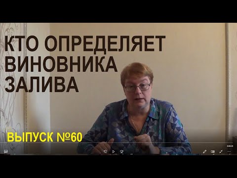 Видео: Кто определяет виновника залива Выпуск №60 Спроси у эксперта