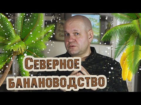 Видео: Тисс, кипарисовик, туевик, бамбуки, пираканта, падуб, юкка и другие экзоты в условиях севера