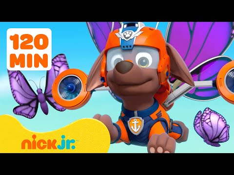 Видео: PAW Patrol: Спасение и приключения с насекомыми! #2 🦋 2 часа | Nick Jr.