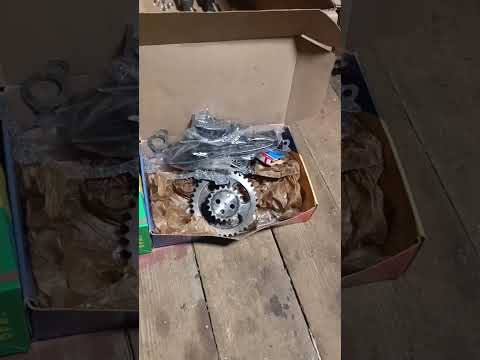 Видео: 19 октября 2025 г.