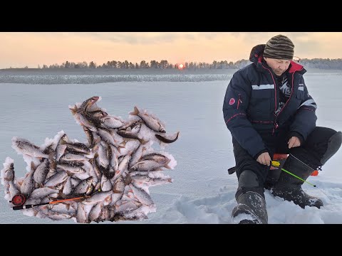Видео: Озёра продолжают радовать в глухозимье