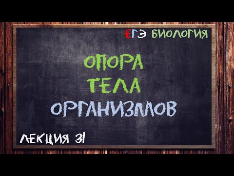 Видео: Л.31 | ОПОРА ТЕЛА ОРГАНИЗМОВ | ОБЩАЯ БИОЛОГИЯ ЕГЭ