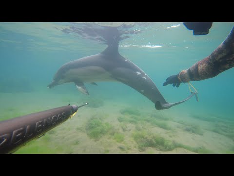 Видео: Экшн-камеры для подводных съёмок.