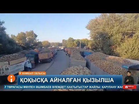 Видео: Жамбыл облысының шаруалары ала жаздай еккен өнімдерін алқап басына тастап кетуге мәжбүр