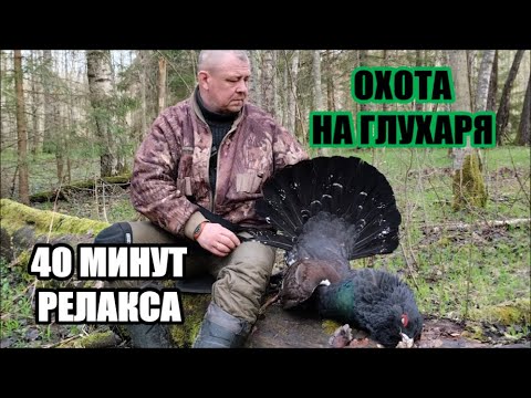 Видео: Охота на глухаря . Утопил ружье....