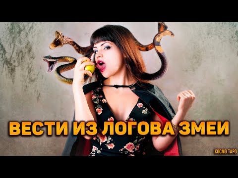 Видео: Что сейчас происходит в логове змеи?🐍 Как дела у соперницы? Как поживает?