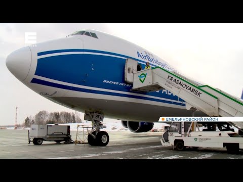 Видео: «Вектор развития». Как устроена система грузовых авиаперевозок - 3 серия