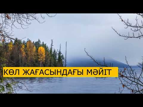 Видео: КӨЛ ЖАҒАСЫНДАҒЫ МӘЙІТ.ЖАҢА ӘҢГІМЕ