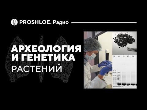 Видео: Археология и Генетика растений