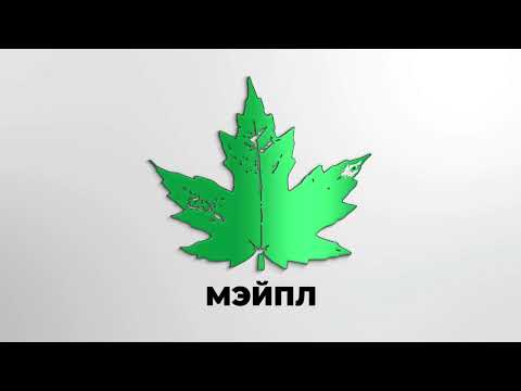 Видео: Как настроить хранение внешних файлов информационной базы в отдельном каталоге?