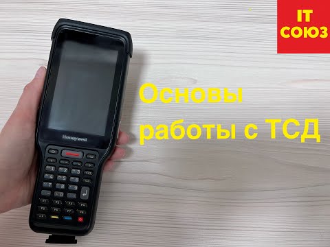 Видео: Основы работы с ТСД