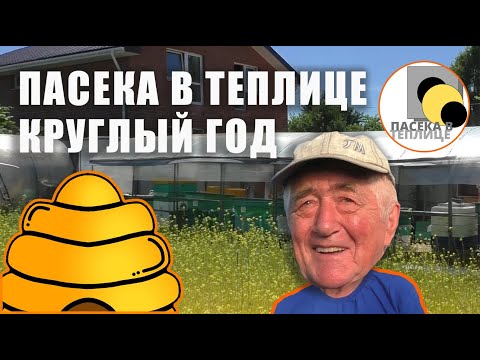 Видео: Рентабельная пасека в теплице (1 часть) #матка #мёд #пасека #сев #пчелы #медовик #подкормка #воск