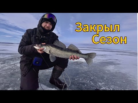 Видео: НАШЕЛ СУДАКА . Закрыл сезон. Рыбалка 2025 #narval #судак #рыбалка