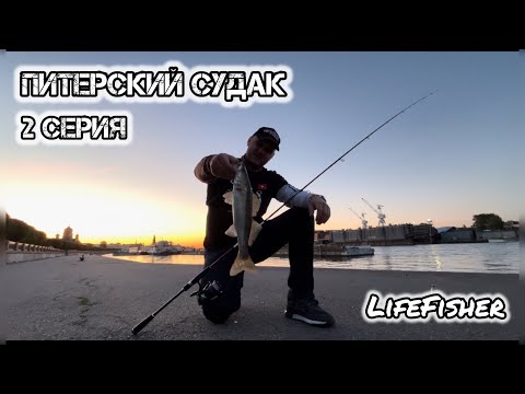 Видео: Питер. Нева. Джиг. Судак. 2 серия. Ловля судака на реке Нева. Санкт Петербург июнь 2024 года.