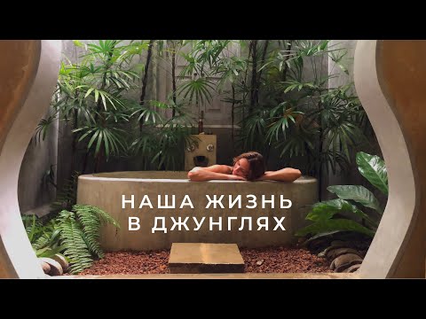 Видео: Дом в джунглях | Жизнь на Шри-Ланке 2020