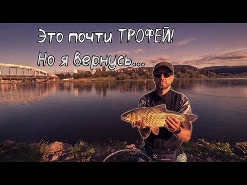 Видео: Борьба с крупным голавлём на Extra UL спиннинг | Лаба, Чехия