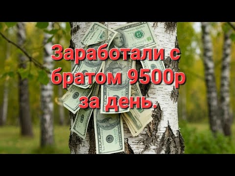 Видео: СБОР ЧАГИ 2025Г. ДЕРЕВЕНСКИЙ ЗАРАБОТОК.