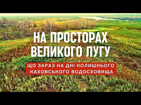 Видео: Що зараз на дні колишнього Каховського водосховища? На простороах Великого Лугу.