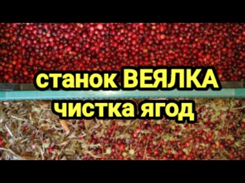 Видео: Станок для отчистки ягод. Очистка клюквы от травы.