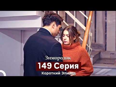 Видео: Зимородок 149 Cерия (Короткий Эпизод) (Русский дубляж)