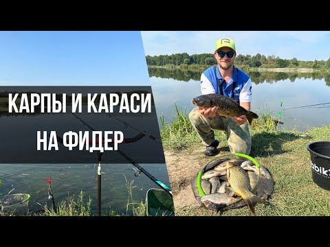 Видео: ФЛЭТ-ФИДЕР ПРОТИВ КЛАССИКИ! Ловля карпа и карася