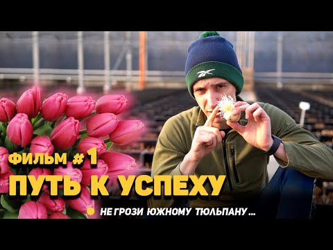 Видео: Не грози южному тюльпану... фильм #1