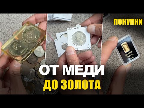 Видео: От простых до золотых: большой разбор монет!