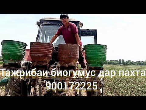 Видео: Тажрибаи биогумус дар пахта 900172225