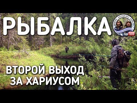 Видео: ЛОВИМ ХАРИУСА НА ТАЕЖНЫХ РЕКАХ / ИЩЕМ БЛЕСНЫ