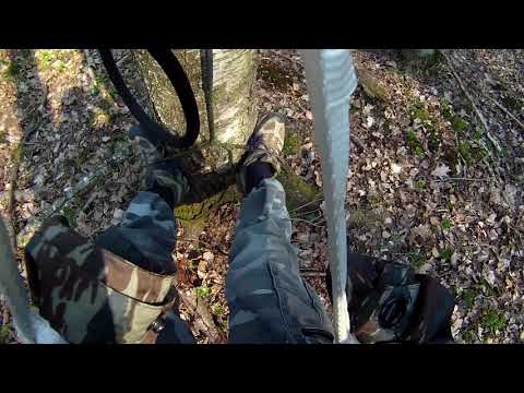 Видео: Подьем на дерево. мобильная засидка.о безопасности.