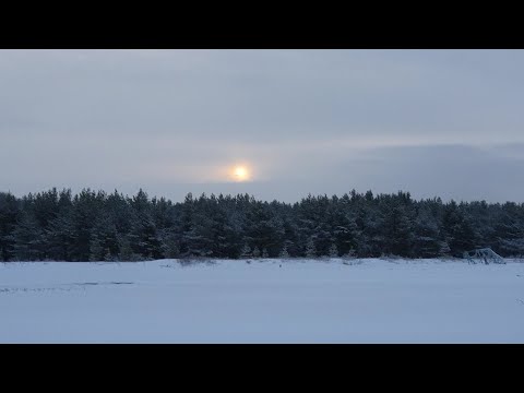 Видео: Ермиловская бухта. Окунь. Корюшка. Плотва.