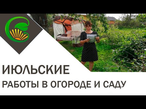 Видео: Июльские работы в саду