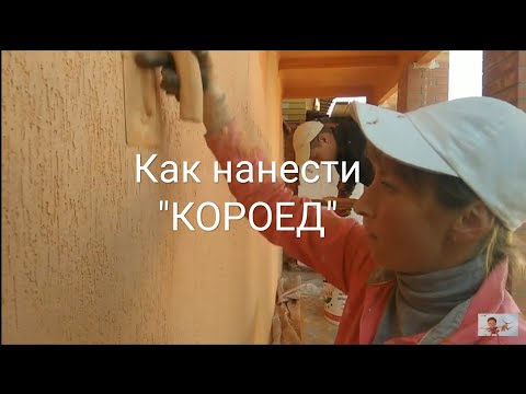 Видео: Как нанести КОРОЕД