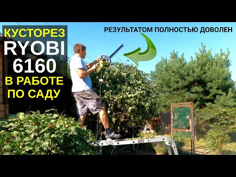 Видео: Электрический кусторез RYOBI 6160 в работе по саду / Формируем кусты и деревья