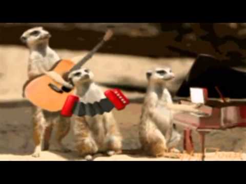 Видео: С Днем рождения,ЮРА!