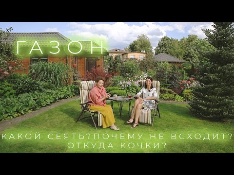 Видео: Газон  - Какой Сеять? Почему не всходит? Откуда кочки?