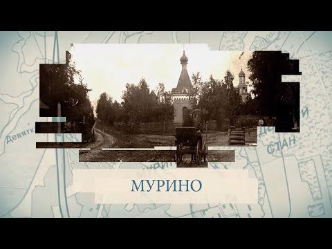 Видео: Мурино / «Малые родины большого Петербурга»