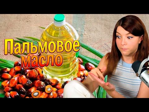 Видео: (23.06.24) Buldak Лапша, Пальмовое масло, Работа медпредом