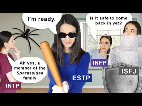 Видео: 16 личностей, реагирующих на паука на стене