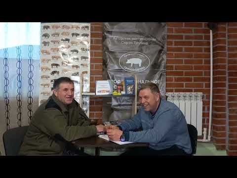 Видео: Свиноферма Алексея Гауса.Беседа с профессионалом.4 серия