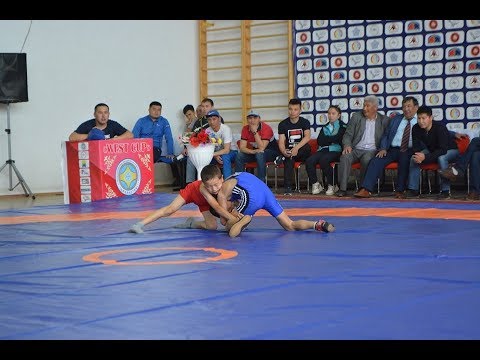 Видео: Жаңақалада облыстық турнир