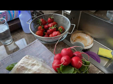 Видео: Завтрак с  Мамой Отличника