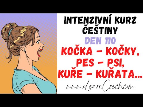 Видео: Курс чешского 110: Животное - животные (множественное число)