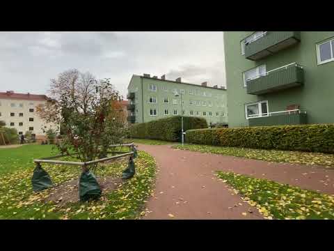 Видео: Вы Никому не Важны от Слова Совсем. Истории из Жизни