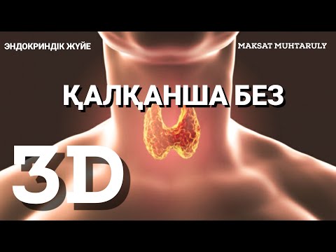 Видео: Қалқанша безі|Құрылысы|Қызметі