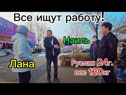 Видео: Стоит ли ехать в Корею на заработки 2025 г. #жизньвюжнойкорее #тикток #работавкорее #тренд